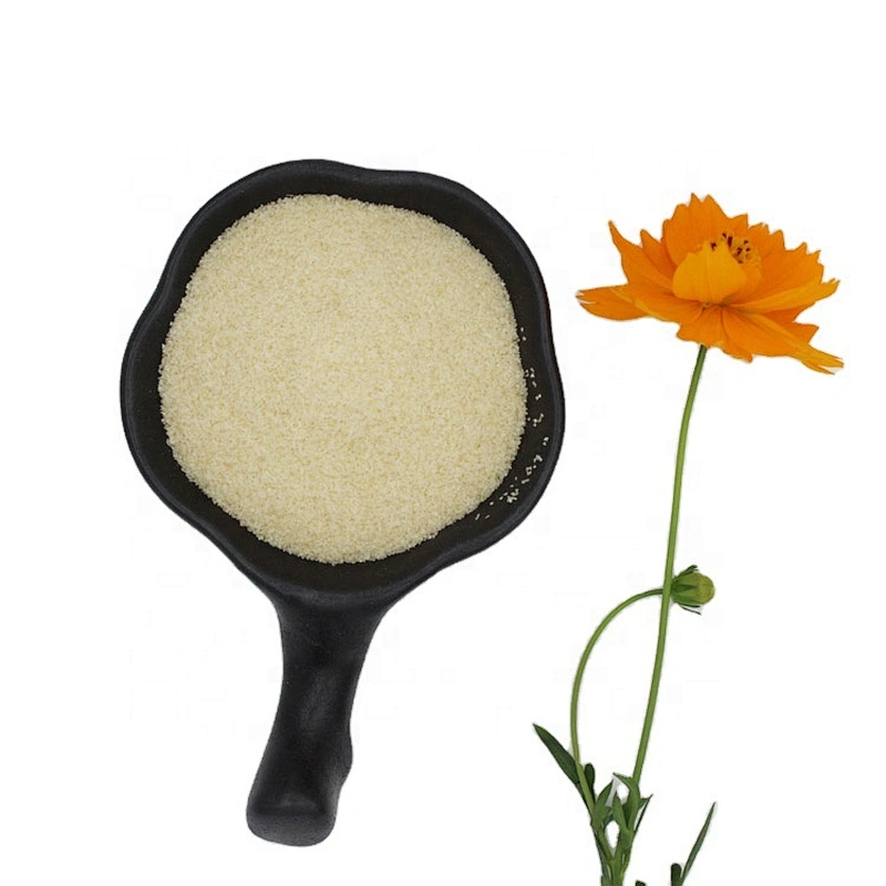 Food Grade Gelatin CAS 9000-70-8 Gelatin Factory in China